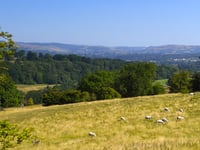 First Wales Wildlife and Rural Crime Strategy to be launched