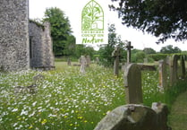 Family Mini-beast Hunt in Lawrenny Churchyard