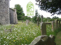 Discover and delight in what’s on our church doorsteps