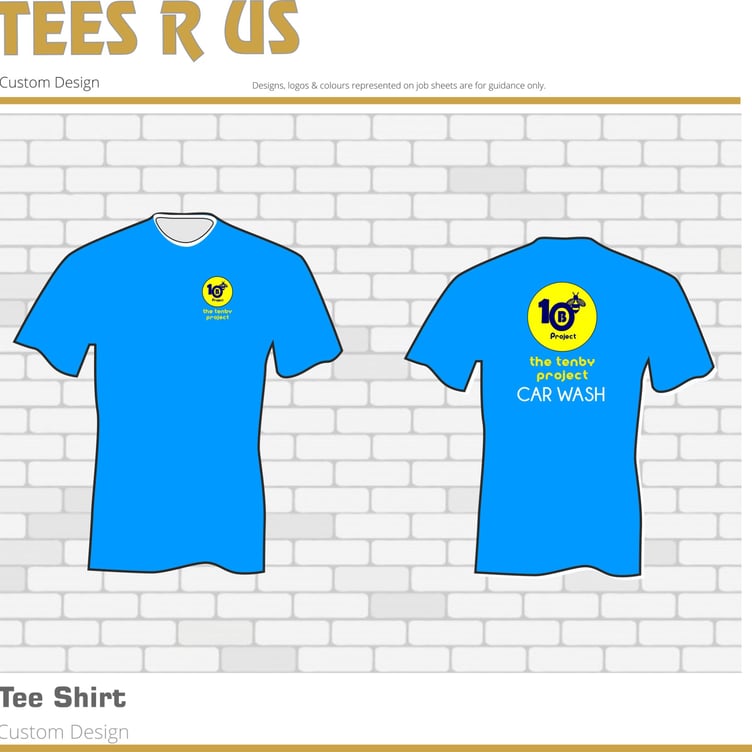 Tenby Project Car Wash Ladies Tees