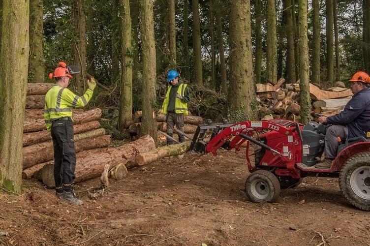 The Talog Coed Team moving logs.