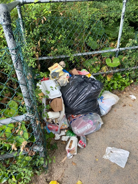 Tenby litter