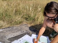 Plant survey volunteers wanted for Tenby garden wild space