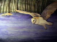 Rediscover The Lost Words of nature and culture at Oriel y Parc