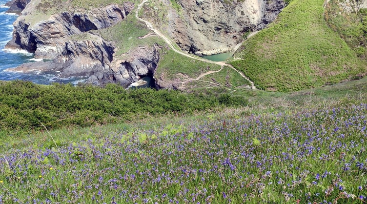 The Connecting the Coast scheme will work with landowners to connect habitats and enhance biodiversity along the Pembrokeshire Coast.