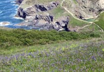 Funding and support for landowners who boost biodiversity on the Pembrokeshire Coast