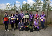 Pembrokeshire College learners plant trees for a greener future