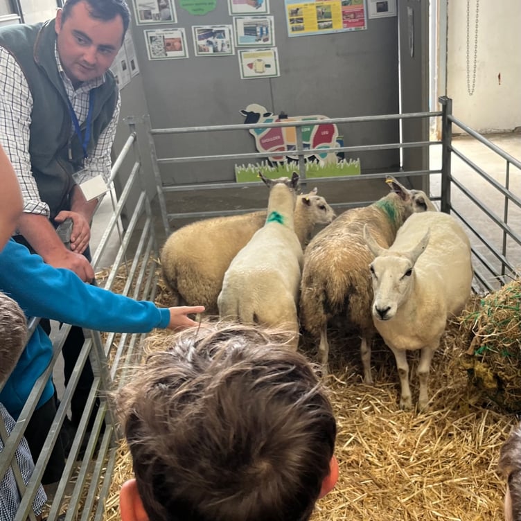 Learning about sheep farming at the Food Story event