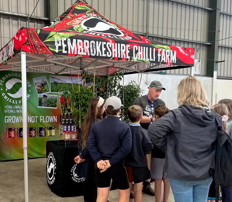 Learning how chillis grow from Pembrokeshire Chilli Farm