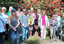 Steps2Health walking club enjoys glorious Pembrokeshire summer