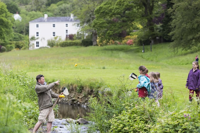 A family with fishing nets at the stream in the grounds of Colby Woodland Garden, Pembrokeshire. The garden is named after Welsh landowner John Colby (1751-1823), who originally came to the area in the 1790s to mine coal. Today, the woodland garden features a wild flower meadow, stream, and colourful walled garden.