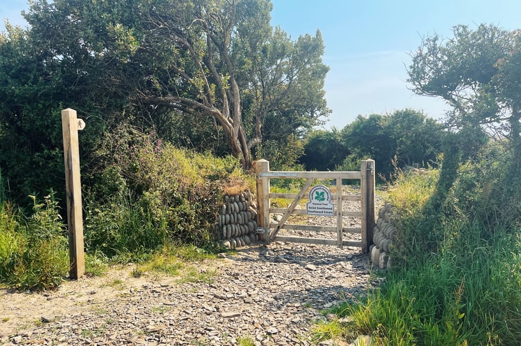 The entrance to the new footpath at Southwood
