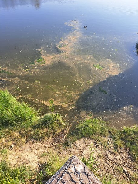 Philippa Noble is just one of those who have posted concerning images of sewage in the Teifi in Cardigan in the last few months