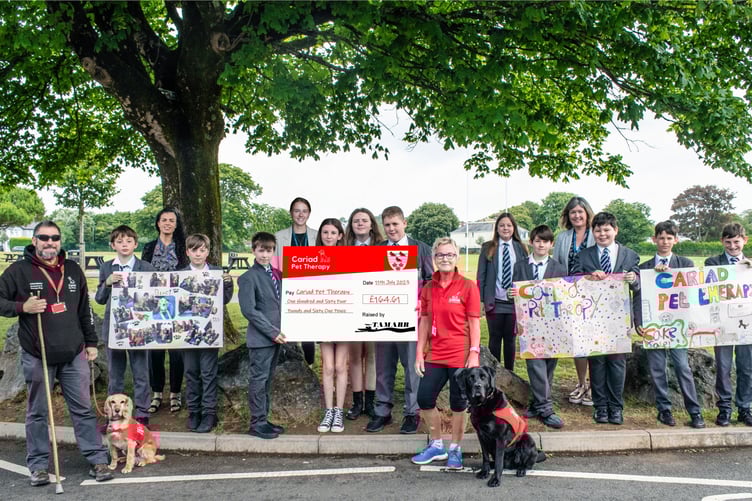 TAMARR pupils at Ysgol Greenhill, Tenby have been enjoying regular well-being visits with Binky and Zambu from Cariad Pet Therapy.