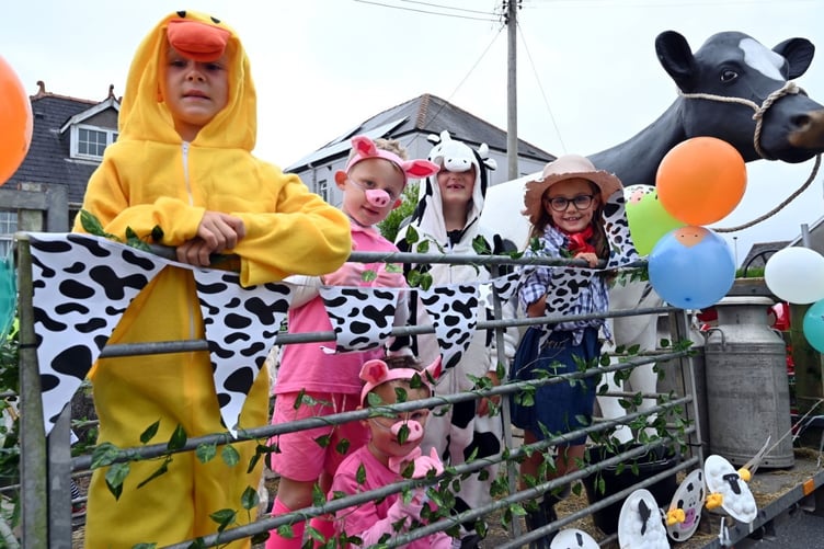 Carnival fun during Narberth Civic Week