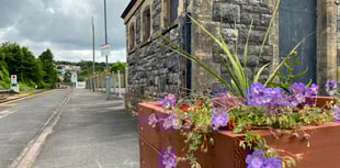 Friends of Tenby Railway Station - would you like to help?