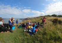 Celebrate Wildlife Trust National Marine Week in Pembrokeshire
