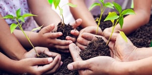 Force for Nature mini-grant scheme re-opens for applications