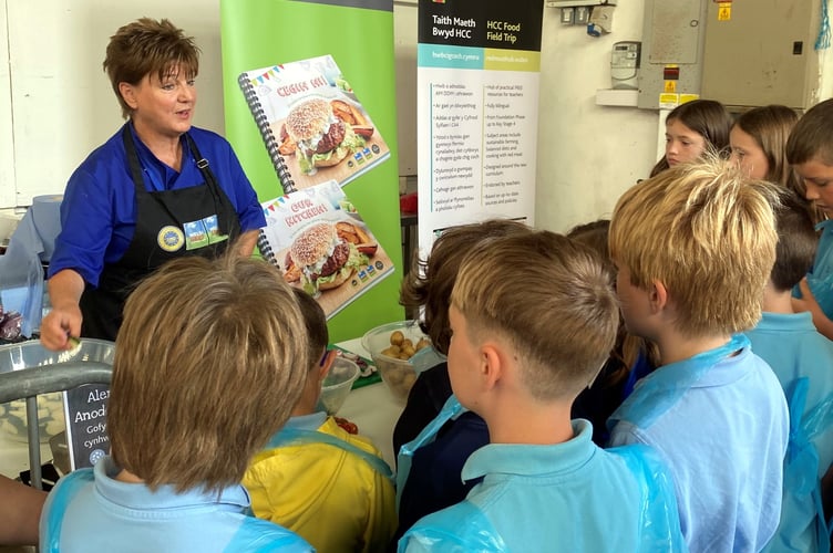 HCC at the Pembrokeshire Food Story event
