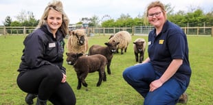 First things first- Farming Connect’s new mandatory e-learning courses