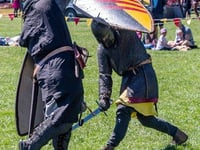 Weekend of Weaponry and Warfare at Carew Castle