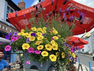 Saundersfoot a finalist in RHS Britain in Bloom Finals
