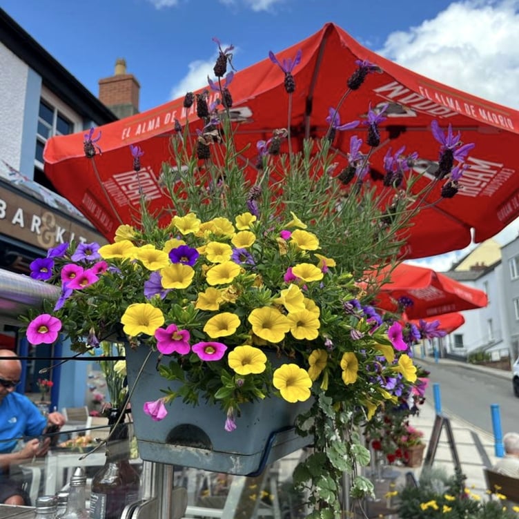 Saundersfoot in Bloom - Harbwr Bar & Kitchen