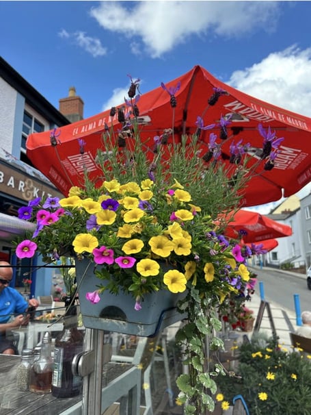 Saundersfoot in Bloom - Harbwr Bar & Kitchen