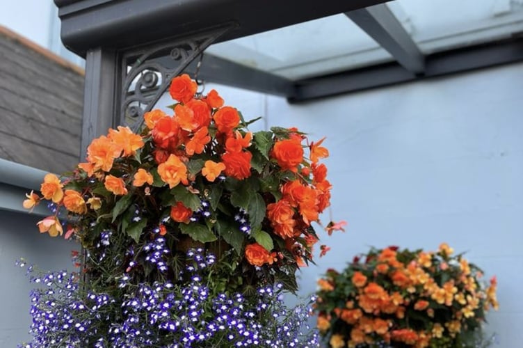 Saundersfoot in Bloom