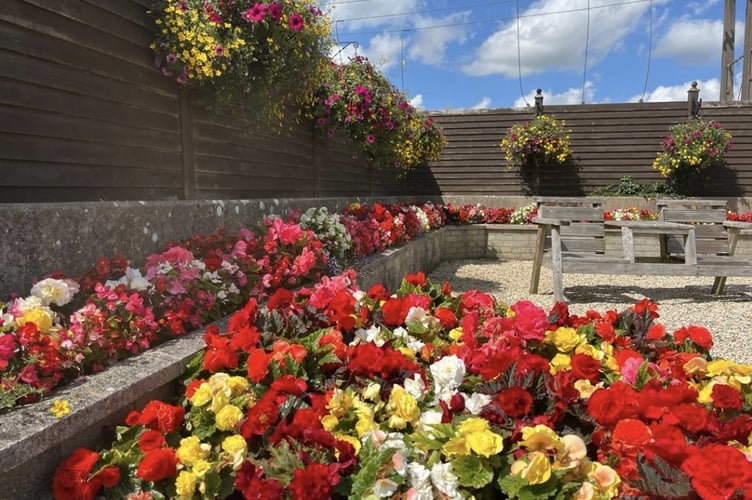 Saundersfoot in Bloom