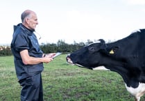 Welsh farms disease surveillance pilot aims to control infection