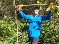 Invasive non-native species project branches out to six new sites