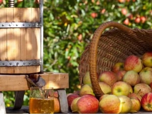 Experience the flavours of autumn at Carew Castle’s apple events