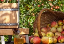 Experience the flavours of autumn at Carew Castle’s apple events