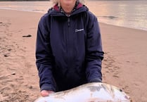 Caldey catch sees fishing novice become ‘totally hooked’