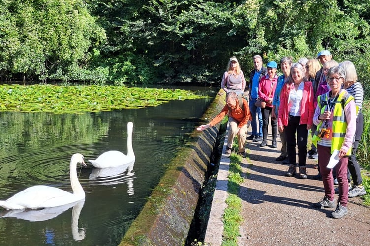 Speedies a the Hidden Bridge, Stackpole