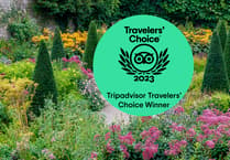 West Wales gardens delighted to win 2023 Trip advisor Travellers’ Choice Award
