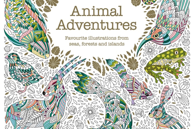 Millie Marotta’s Animal Adventures