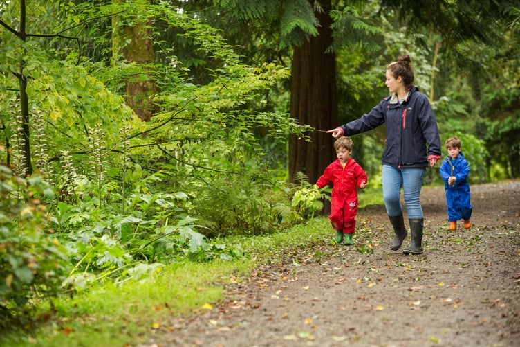 Walking at Colby Woodland Garden, Pembrokeshire