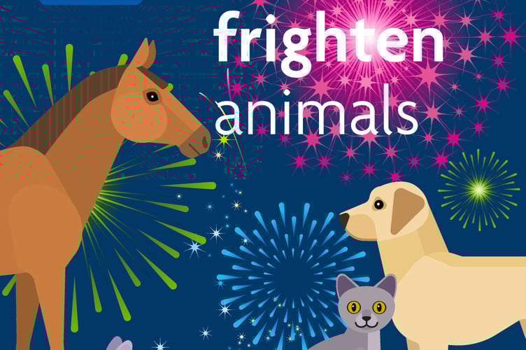RSPCA fireworks