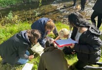 Pembroke A Level students collect environmental data at Colby Woodland Gardens