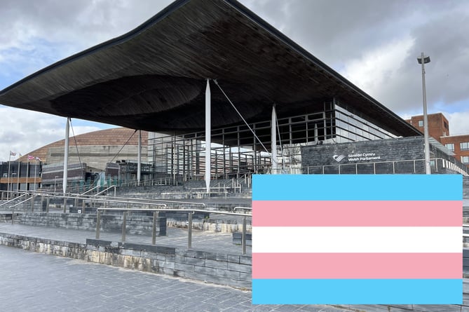 Transgender Welsh Government