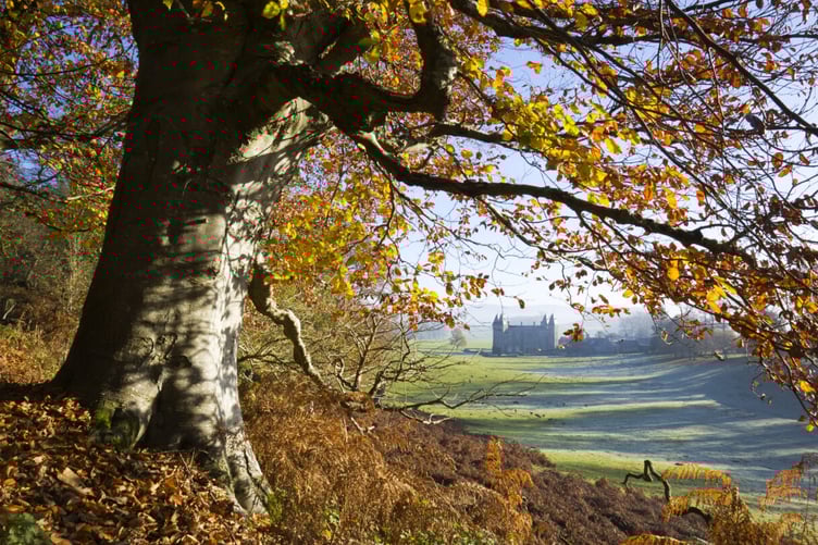 Dinefwr’s estate in autumn