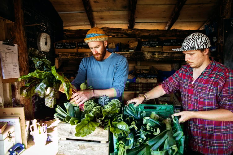 Glasbren grow sustainable, local veg in Carmarthenshire