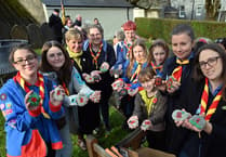Remembrance Day - Tenby holds third Poppy Pebble Trail