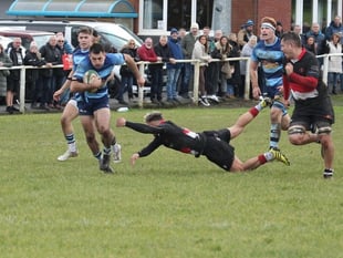 Otters go to the top