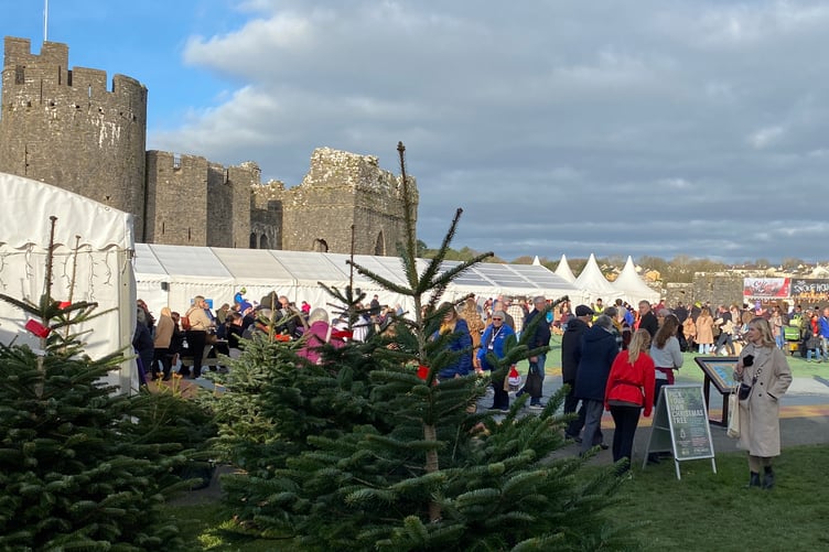 Christmas trees for sale at Pembroke Castle Christmas Market