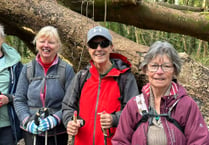 Walking group Steps2Health explore South Pembrokeshire