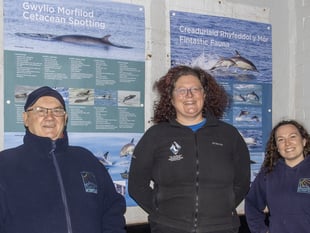 Striking new panels go on display at Pembrokeshire wildlife habitat