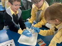 Education Charity of the Year award for the Darwin Centre 
